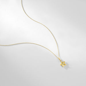 Introducing our 14K Gold Star Necklace—a stunning piece crafted with a delicate chain and dainty star pendant. The textured surface adds a subtle shimmer, making it simple yet elegant, perfect for any occasion.