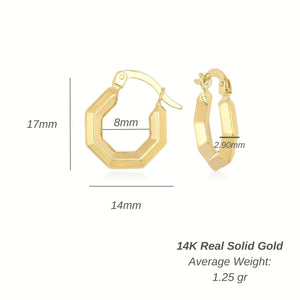 These 14K Solid Gold Hexagon Hoop Earrings for Men boast a sleek polished finish and a secure hinged clasp. Expertly designed to be hypoallergenic, they appeal to any style preference. The elegant design is showcased on a plain white background with views from both the front and side.