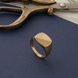 The 14K Solid Gold Matte & Polished Signet Ring for Men showcases a sophisticated design with its flat, oval-shaped face featuring a unique matte and shiny half-and-half finish. The engraved signet ring boasts a smooth band and minimalist elegance, creating an exquisite piece of men's jewelry.